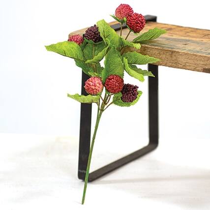 Front. BreeBe - Fresh Raspberries Pick - 10.5" - Multicolor.