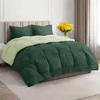 Front. CGK Linens - Premium All-Season Down Alternative Comforter - Fluffy Oversized Duvet Insert - California king - Emerald/Light Sage Green.