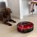 Alt View 16. bObsweep - Bob PetHair Robot Vacuum and Mop - Rouge.