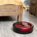 Alt View Zoom 11. bObsweep - Bob Standard Robot Vacuum and Mop - Rouge.