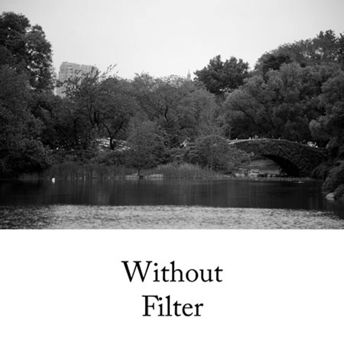 Without Filter