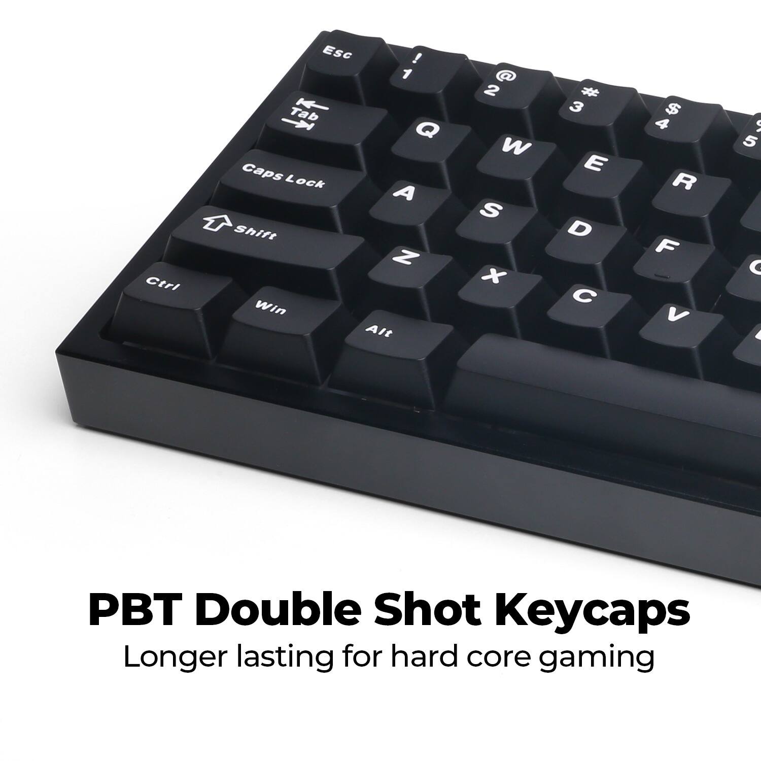 PBT Double Shot Keycaps  
Longer lasting for hard core gaming