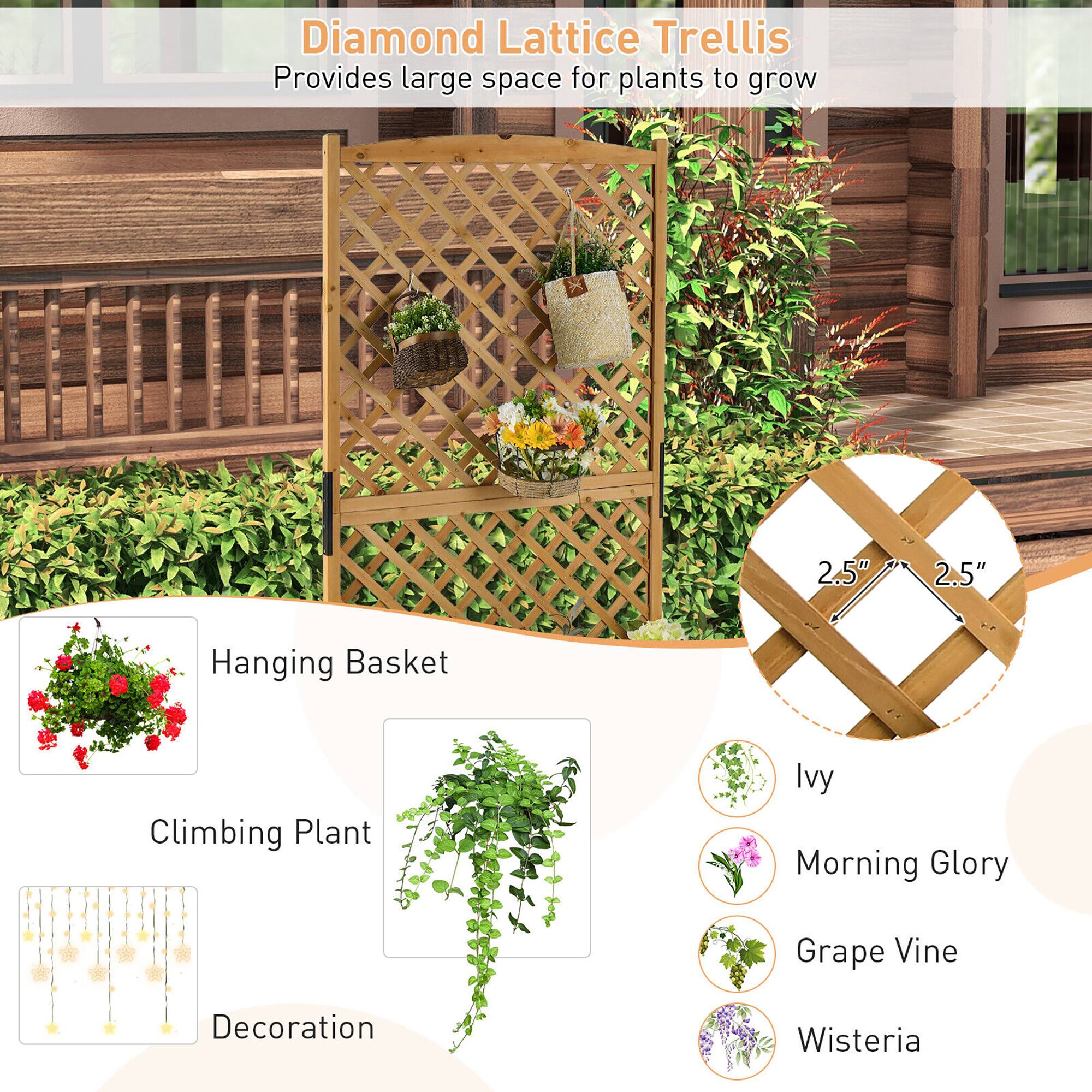 Diamond Lattice Trellis  
Provides large space for plants to grow  

2.5" x 2.5"  

Hanging Basket  
Climbing Plant  
Decoration  

Ivy  
Morning Glory  
Grape Vine  
Wisteria
