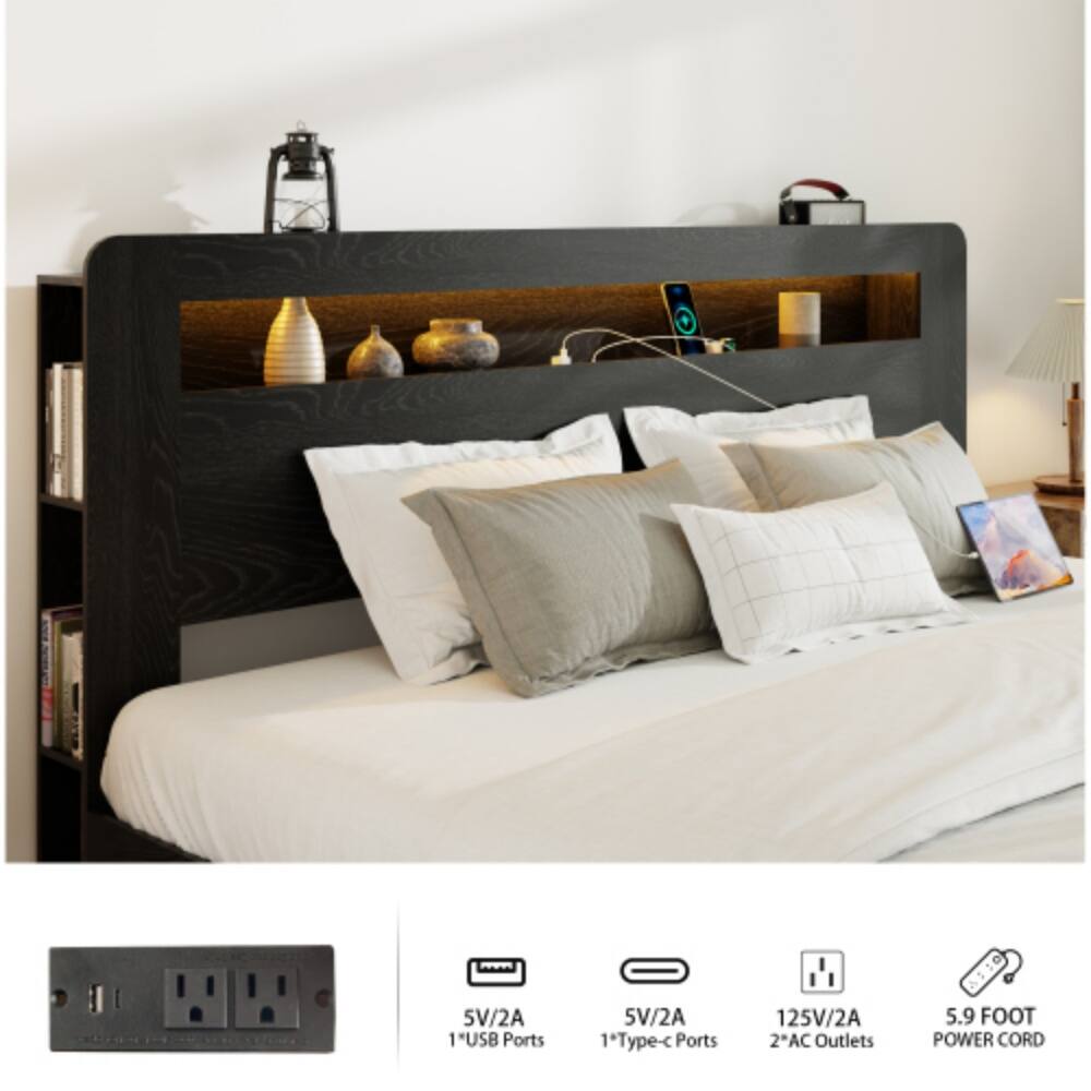 5V/2A 1 USB Port  
5V/2A 1 Type-C Port  
125V/2A 2 AC Outlets  
5.9 Foot Power Cord