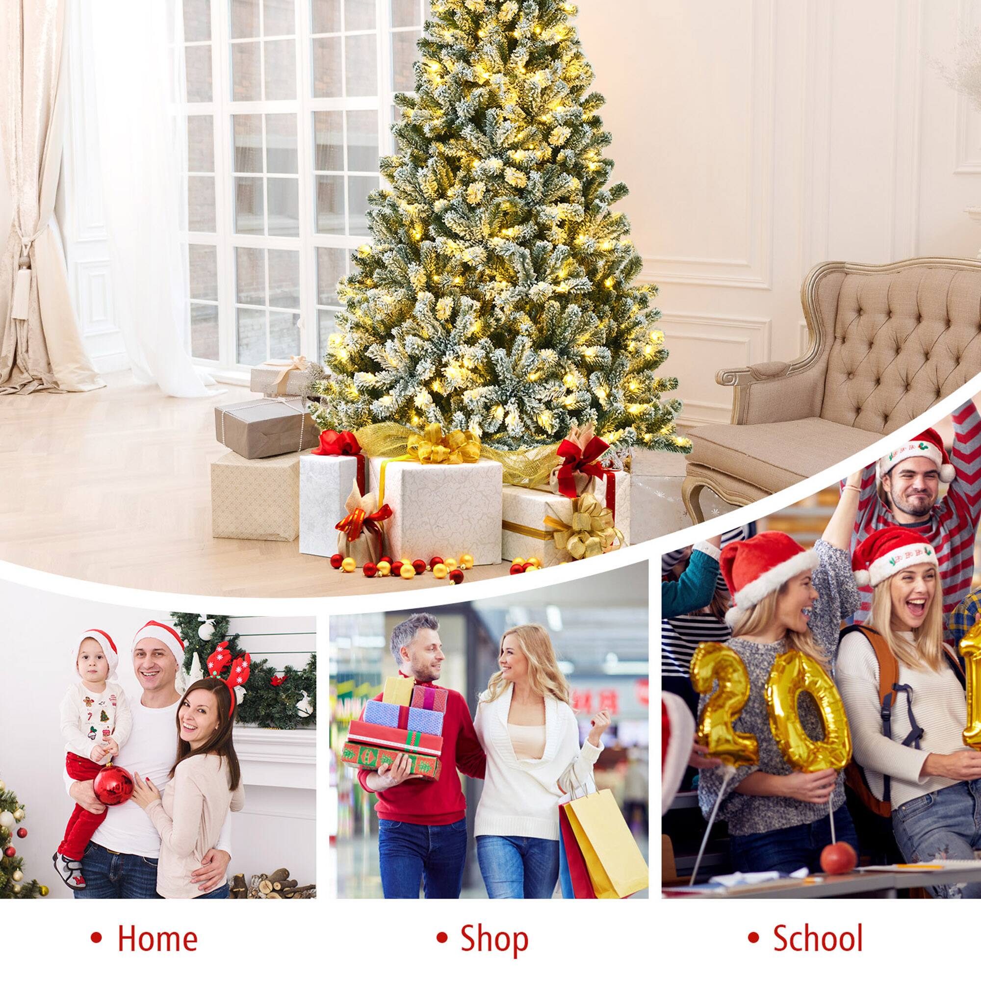 - Home
- Shop
- School