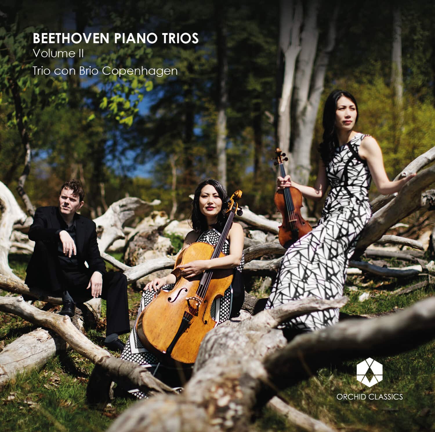 Beethoven / Trio Con Brio Copenhagen - Piano Trios 2   - COMPACT DISCS [CD] price history on PriceWatchPro