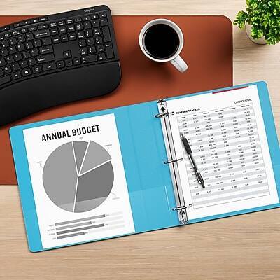 ANNUAL BUDGET

EXPENSES

INCOME BUDGET

EXPENSES