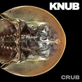Knub - Crub - VINYL LP