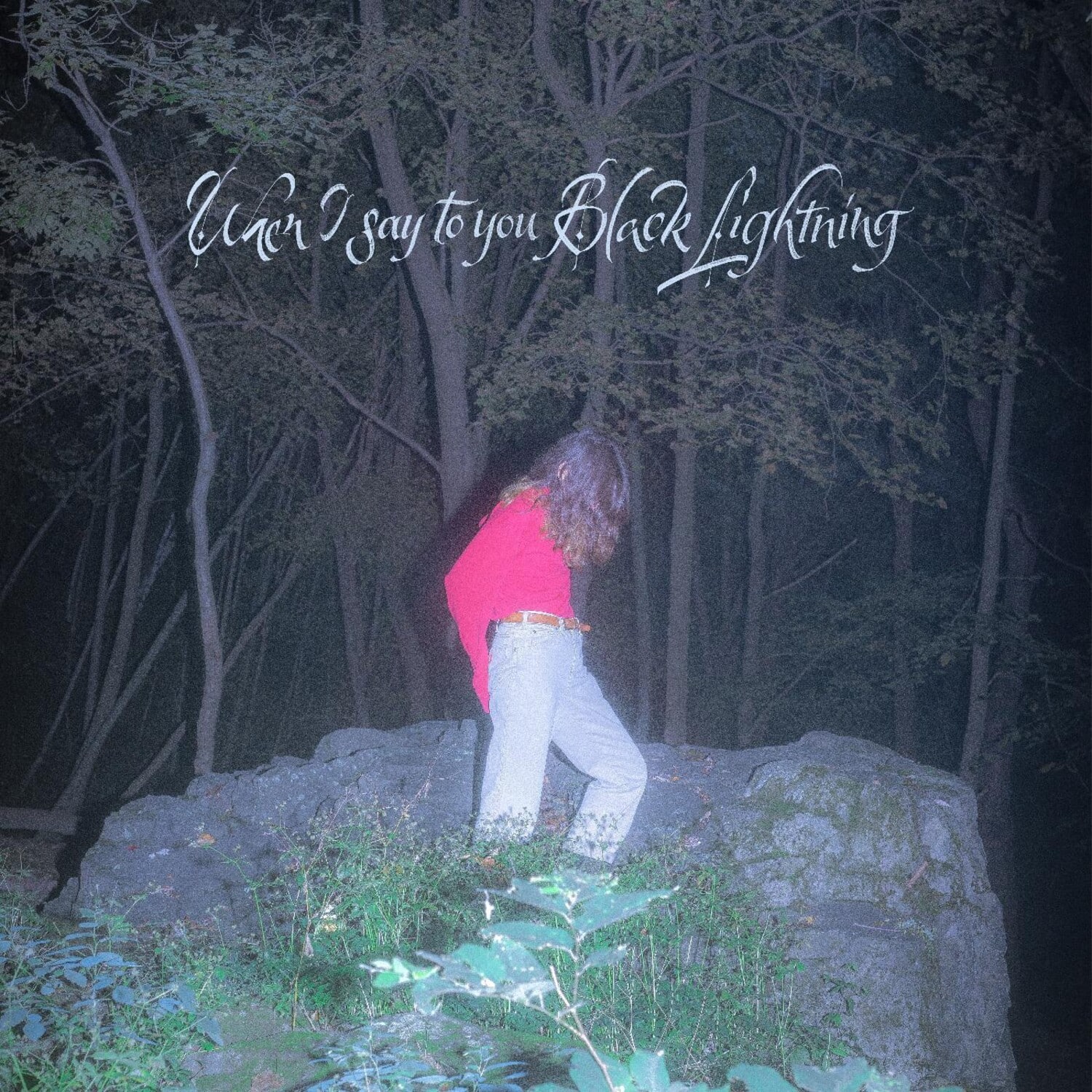 Common Holly - When I Say To You Black Lightning  - CASSETTES
