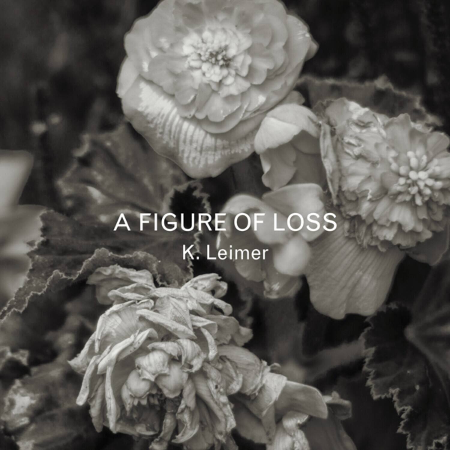 K. Leimer - A Figure Of Loss   - COMPACT DISCS [CD] price history on PriceWatchPro
