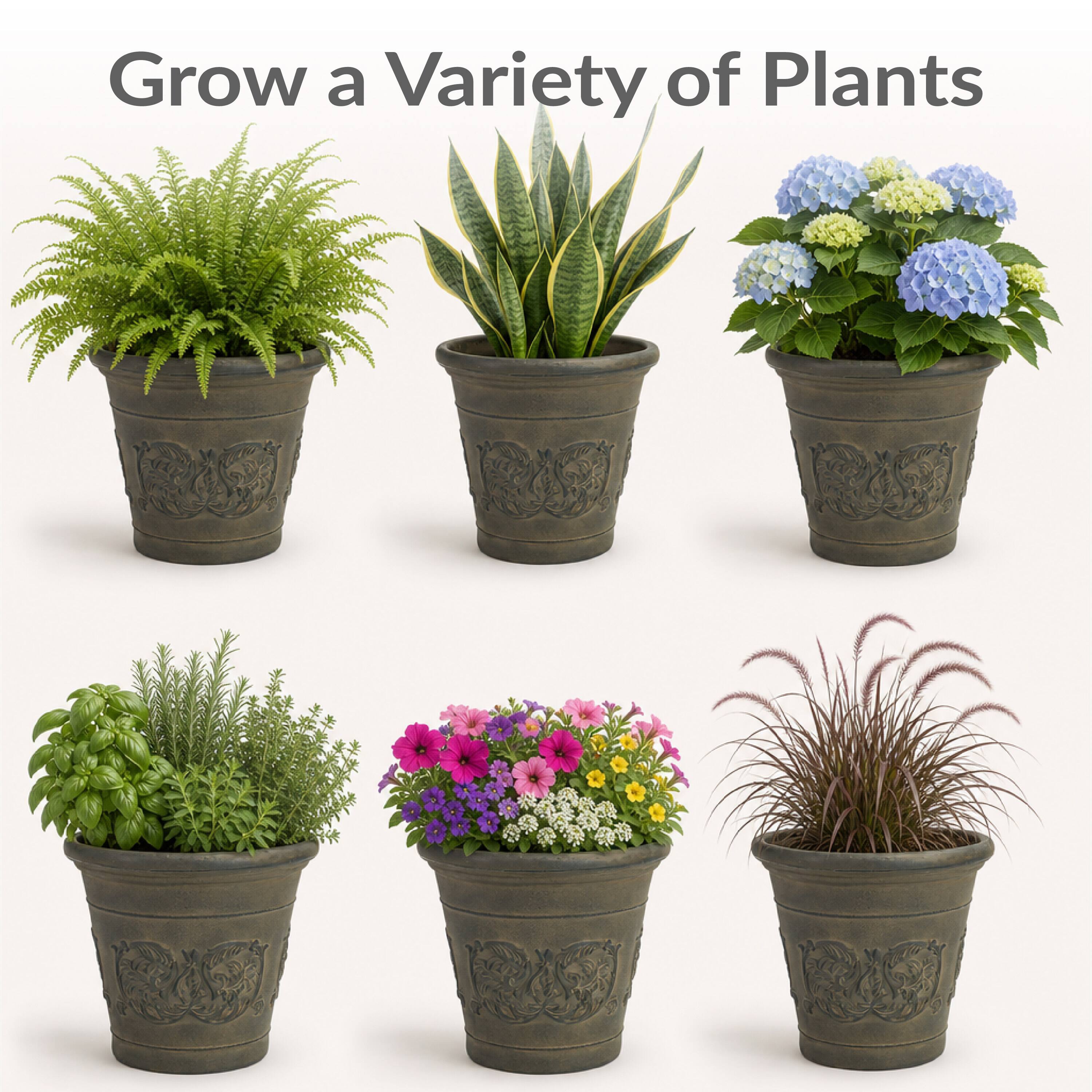 Grow a Variety of Plants
