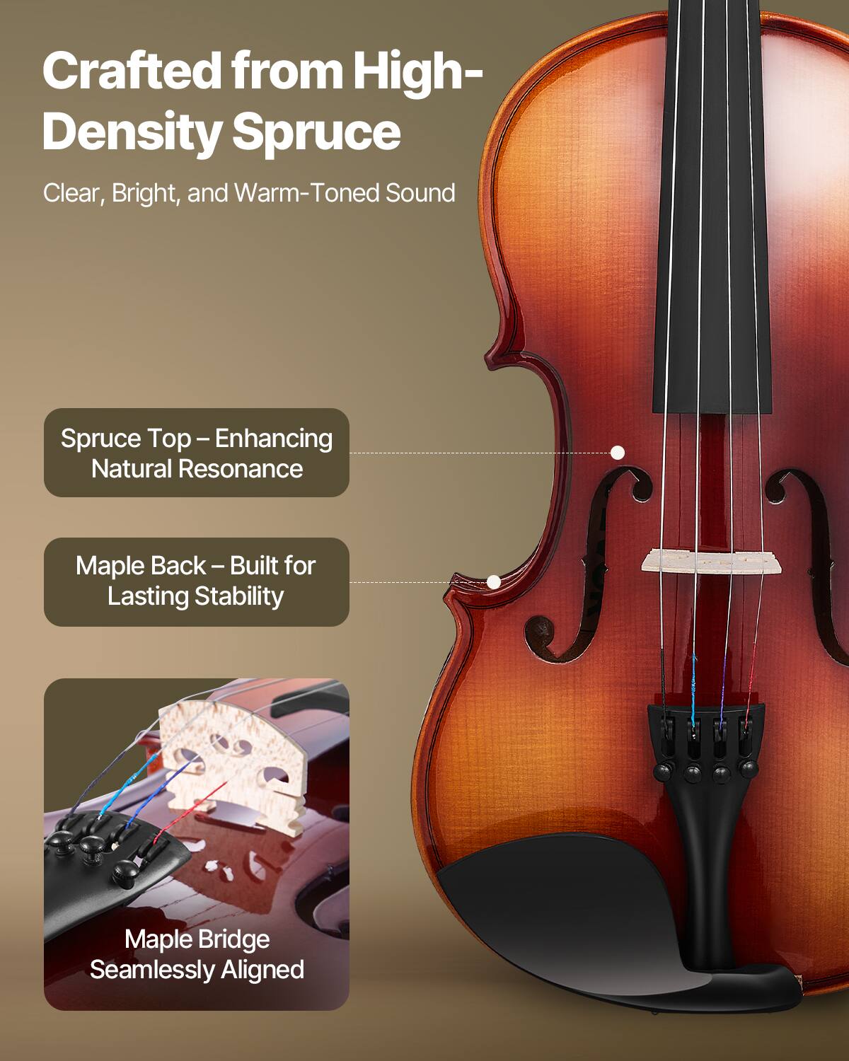 Crafted from High-Density Spruce  
Clear, Bright, and Warm-Toned Sound  

Spruce Top – Enhancing Natural Resonance  

Maple Back – Built for Lasting Stability  

Maple Bridge Seamlessly Aligned