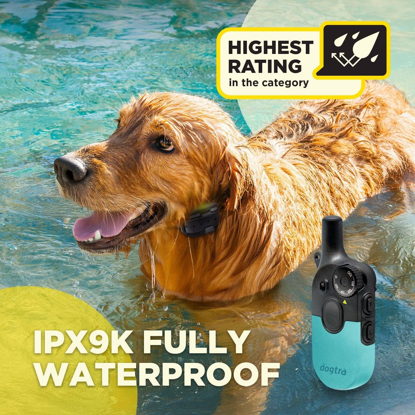 HIGHEST RATING in the category

IPX9K FULLY WATERPROOF

dogtra