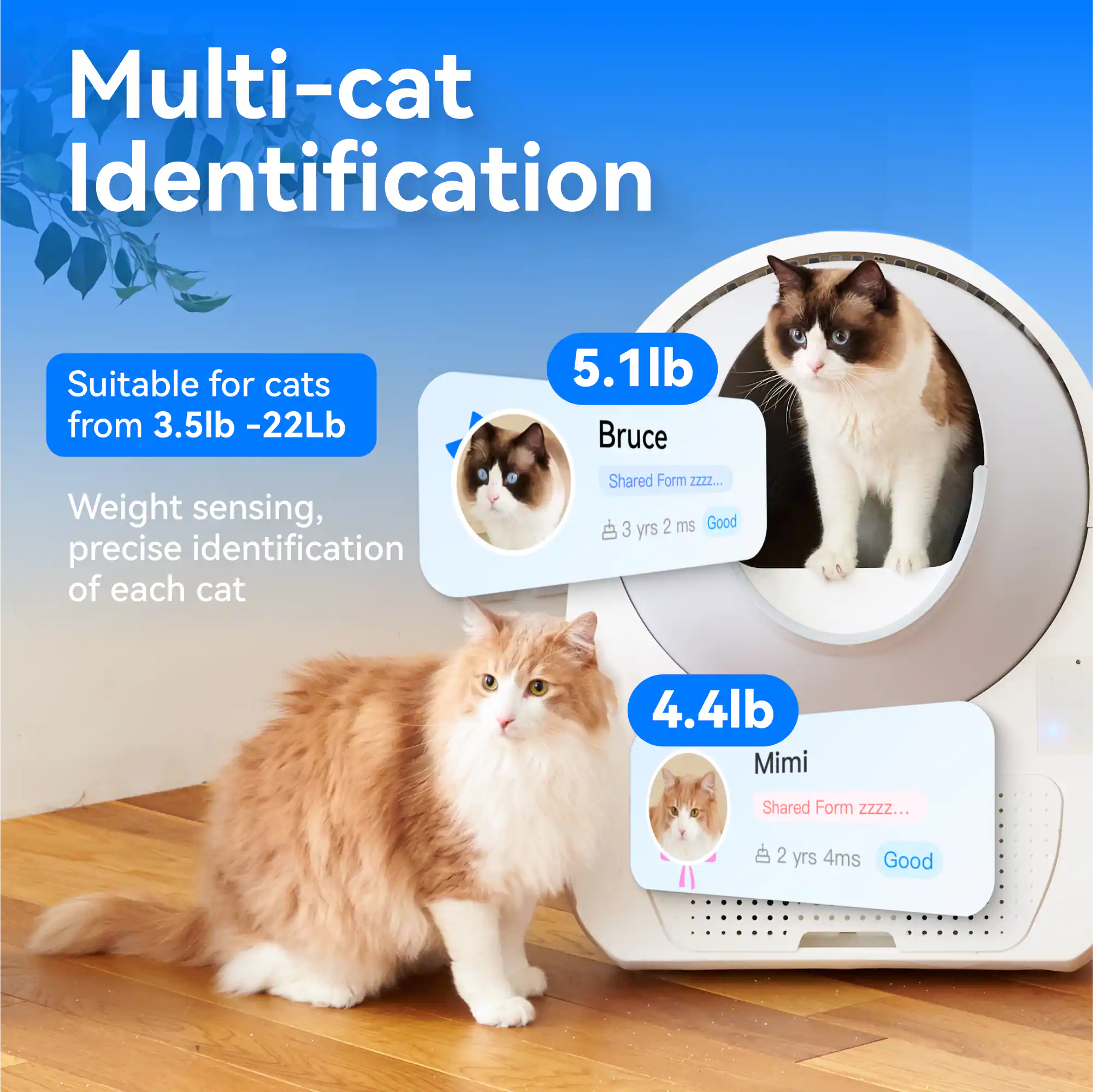 Multi-cat Identification

Suitable for cats from 3.5lb - 22lb

Weight sensing, precise identification of each cat

5.1lb Bruce
Shared Form zzz...
3 yrs 2 ms
Good

4.4lb Mimi
Shared Form zzz...
2 yrs 4 ms
Good