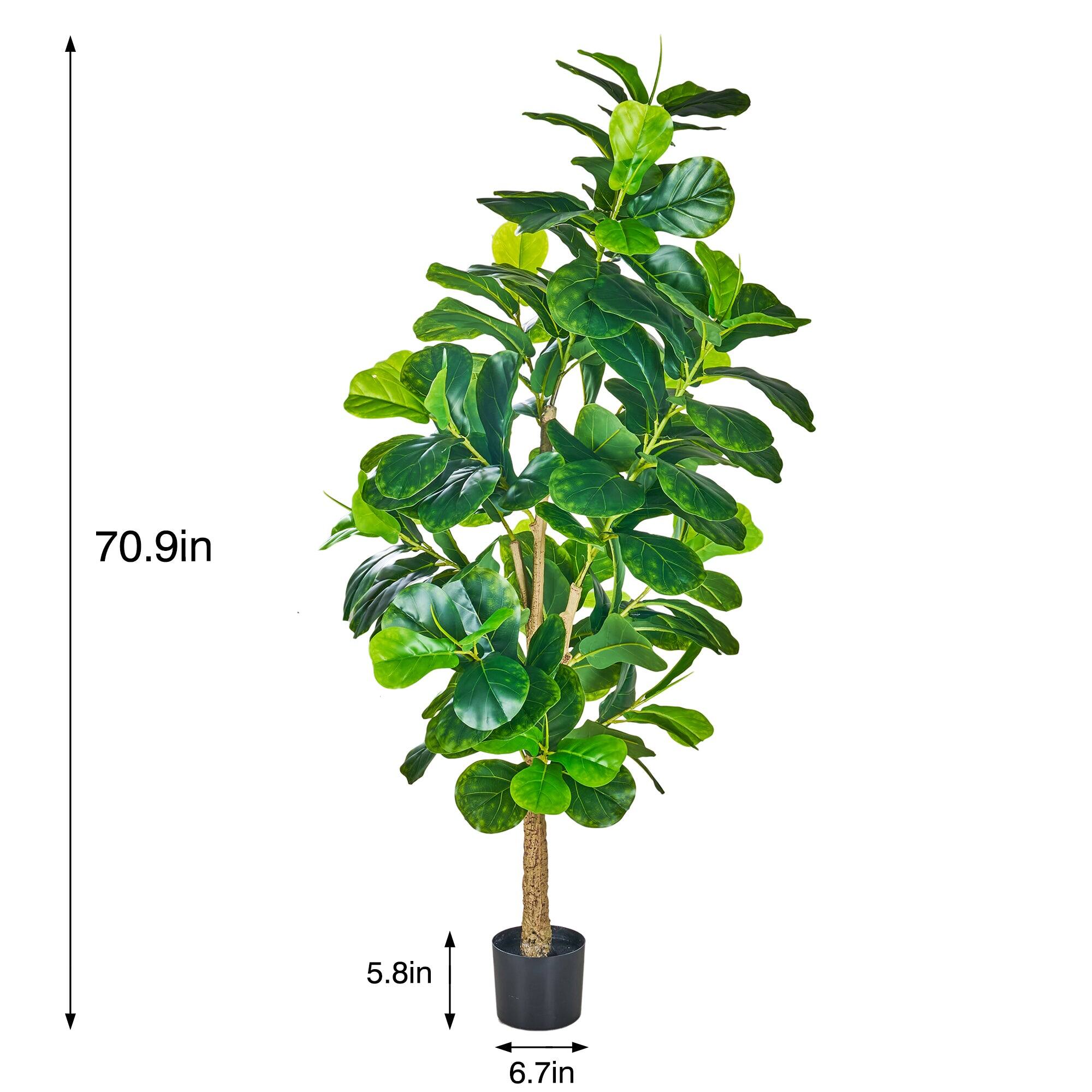 70.9in  
5.8in  
6.7in