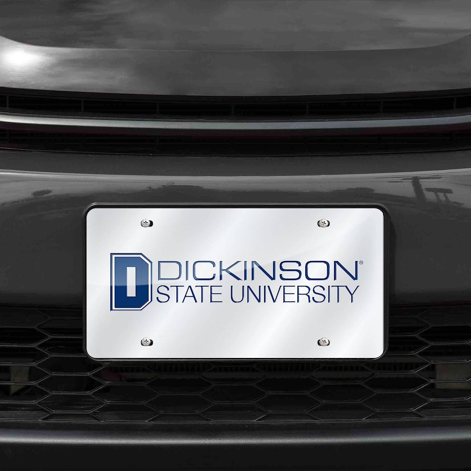 DICKINSON STATE UNIVERSITY