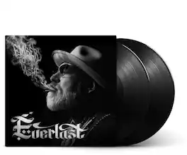 Everlast - Embers To Ashes - VINYL LP