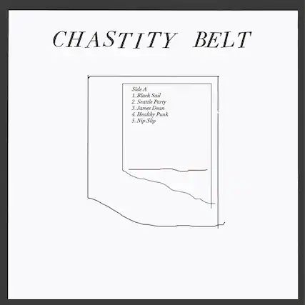 CHASTITY BELT
Side A
1. Black Sail
2. Seattle Party
3. James Dean
4. Healthy Punk
5. Nip Slip