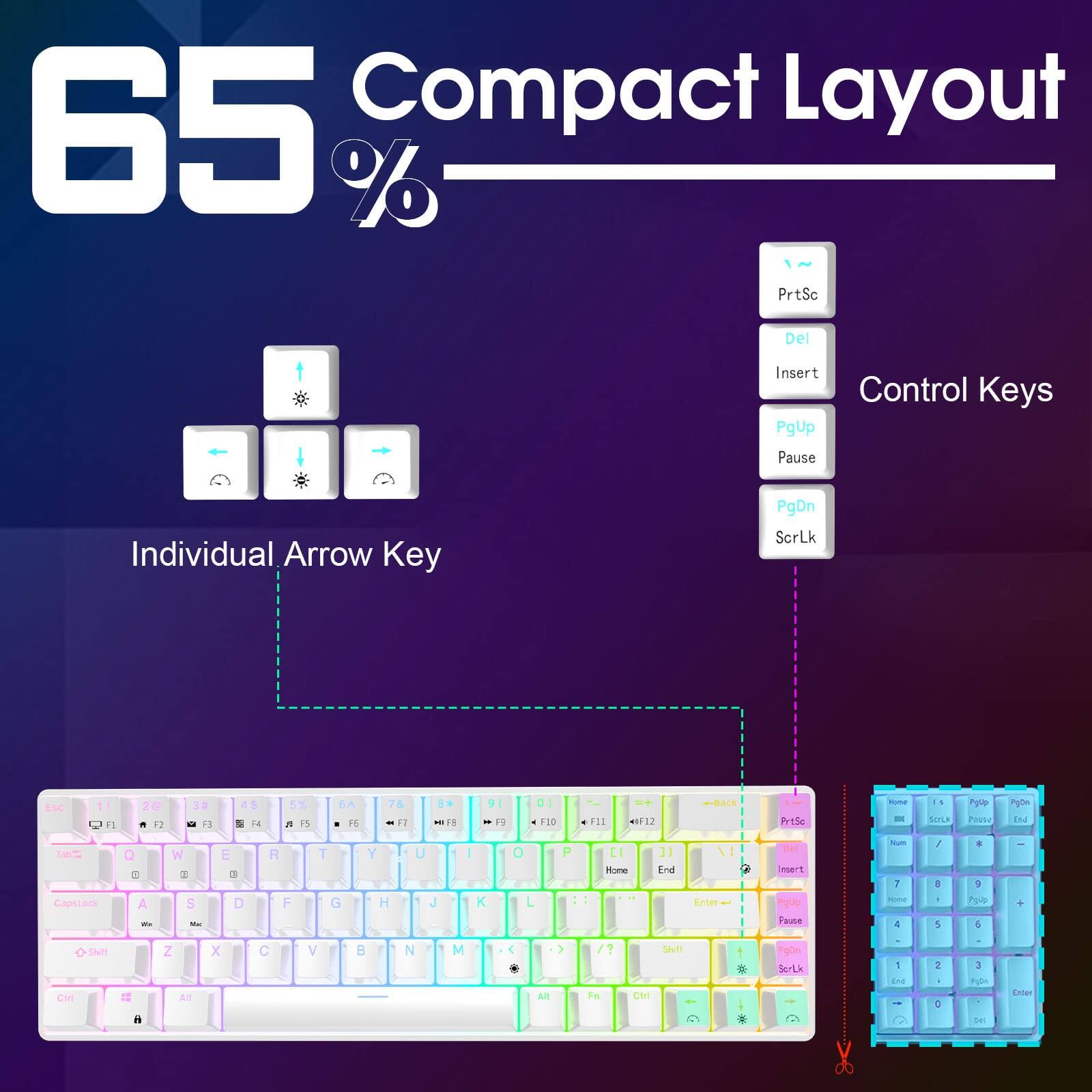65% Compact Layout

Individual Arrow Key

Control Keys
- PrtSc
- Del
- Insert
- PgUp
- Pause
- PgDn
- ScrLk

ESC 1 2 3 4 5 6 7 8 9 0 - = Backspace
Q W E R T Y U I O P [ ] \
A S D F G H J K L ; ' Enter
Caps Lock Shift Z X C V B N M , . /
Shift Fn Ctrl Alt

Num
7 8 9 + Home
4 5 6 - End
1 2 3 0 . Enter
PrtSc Insert Pause ScrLk