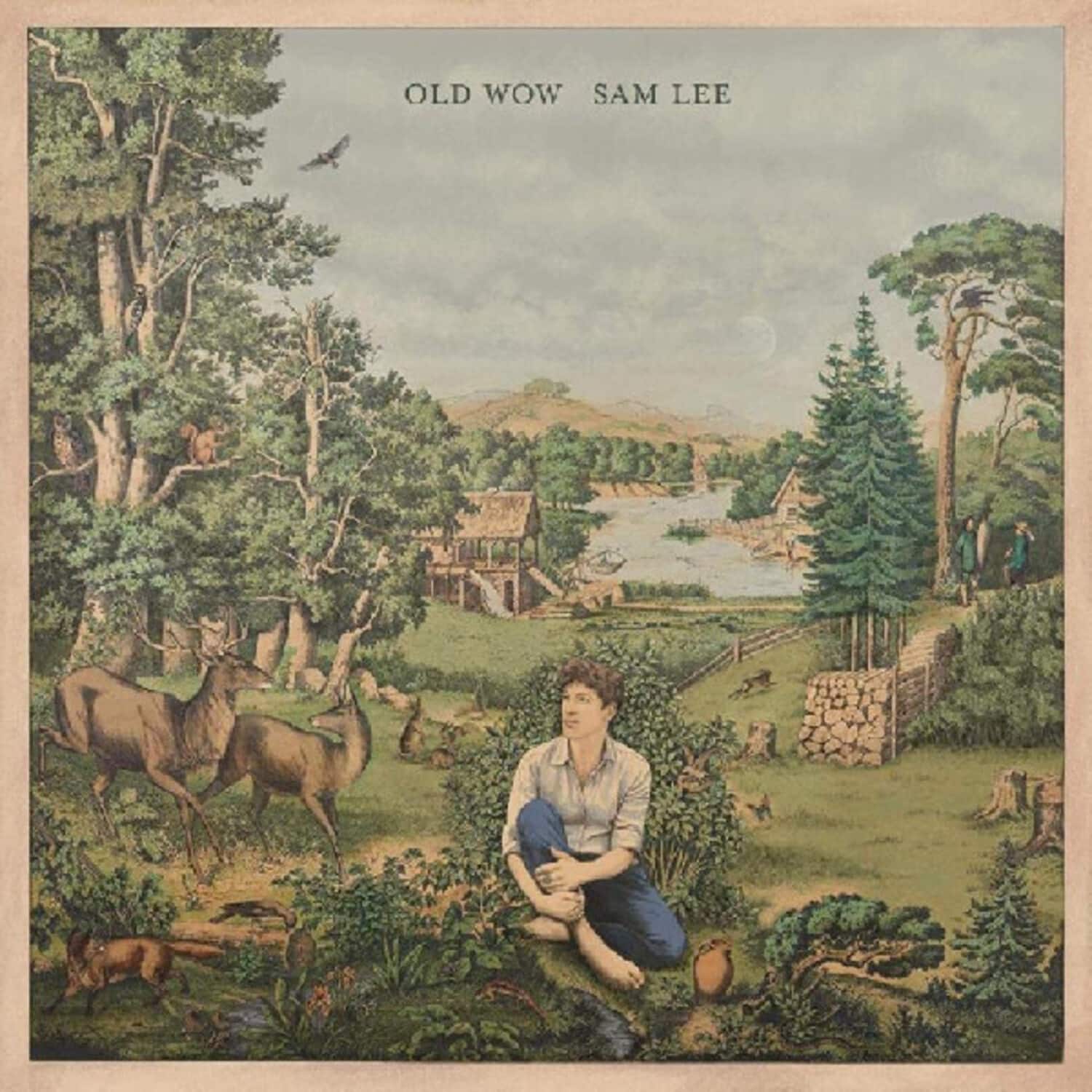 Sam Lee - Old Wow   - VINYL LP price history on PriceWatchPro