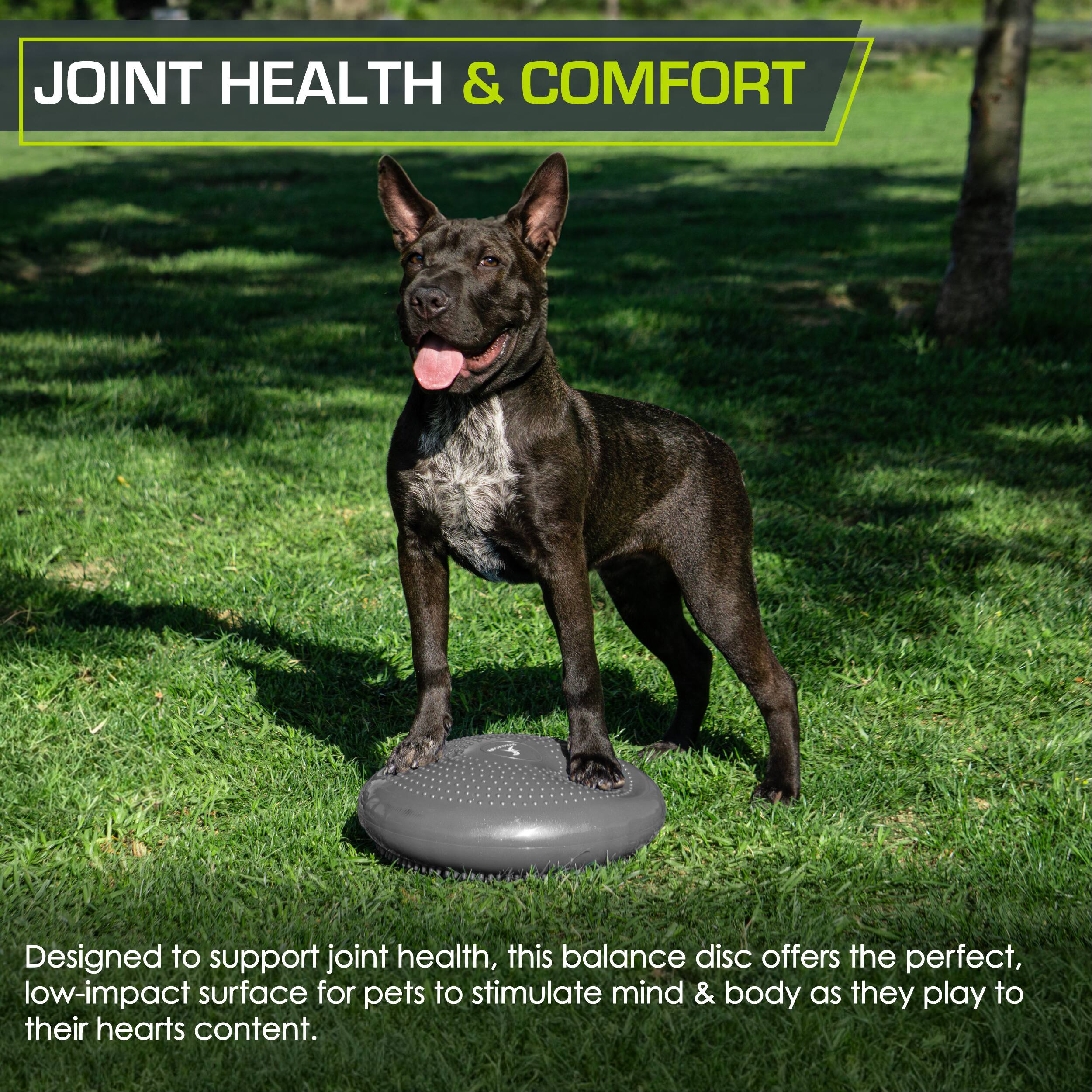 JOINT HEALTH & COMFORT

Designed to support joint health, this balance disc offers the perfect, low-impact surface for pets to stimulate mind & body as they play to their hearts content.