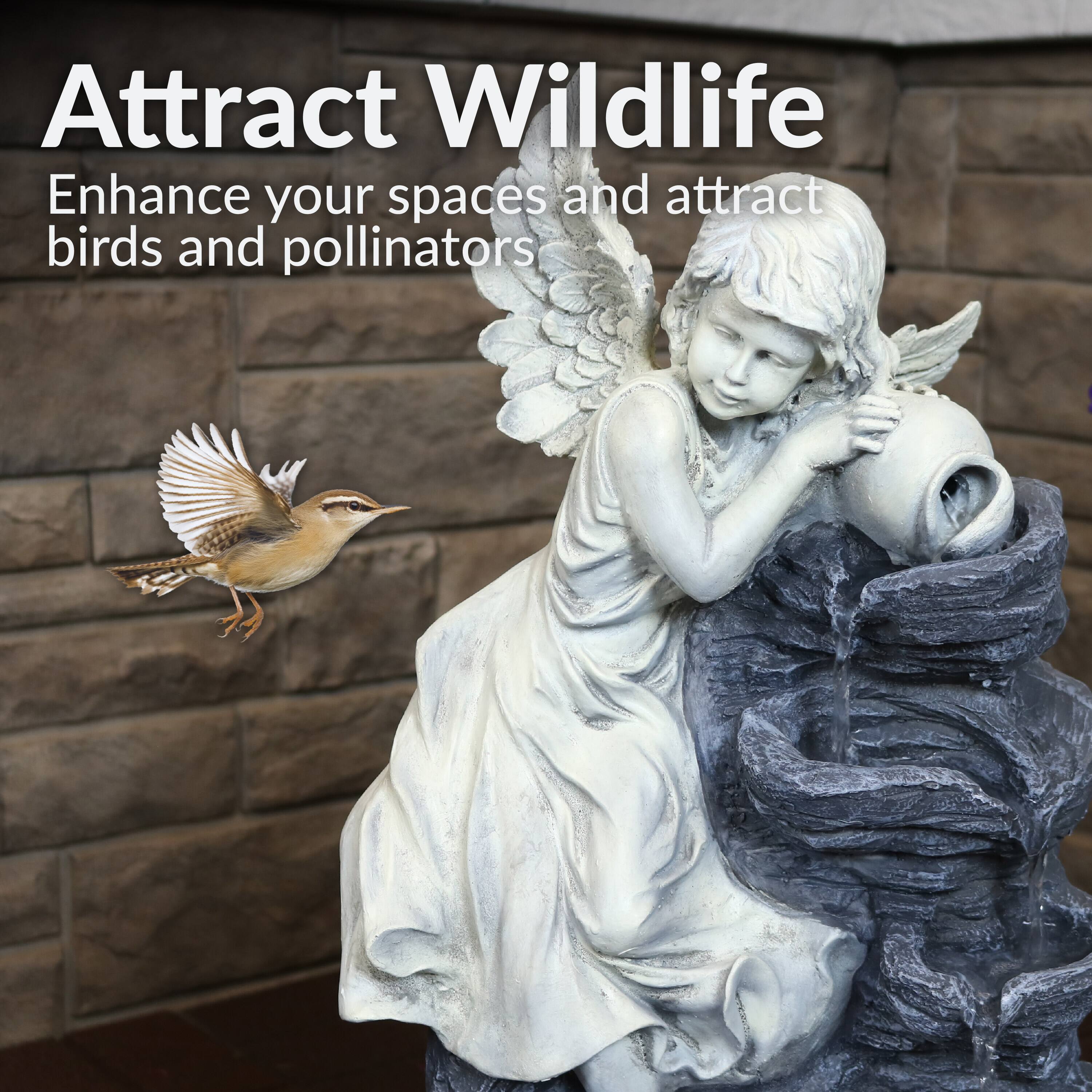Attract Wildlife  
Enhance your spaces and attract birds and pollinators