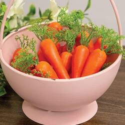 Angle. BreeBe - 20/set Decorative Carrots in Mesh Bag - Orange, Green.
