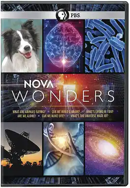 Nova: Nova Wonders: Season 1 - DVD