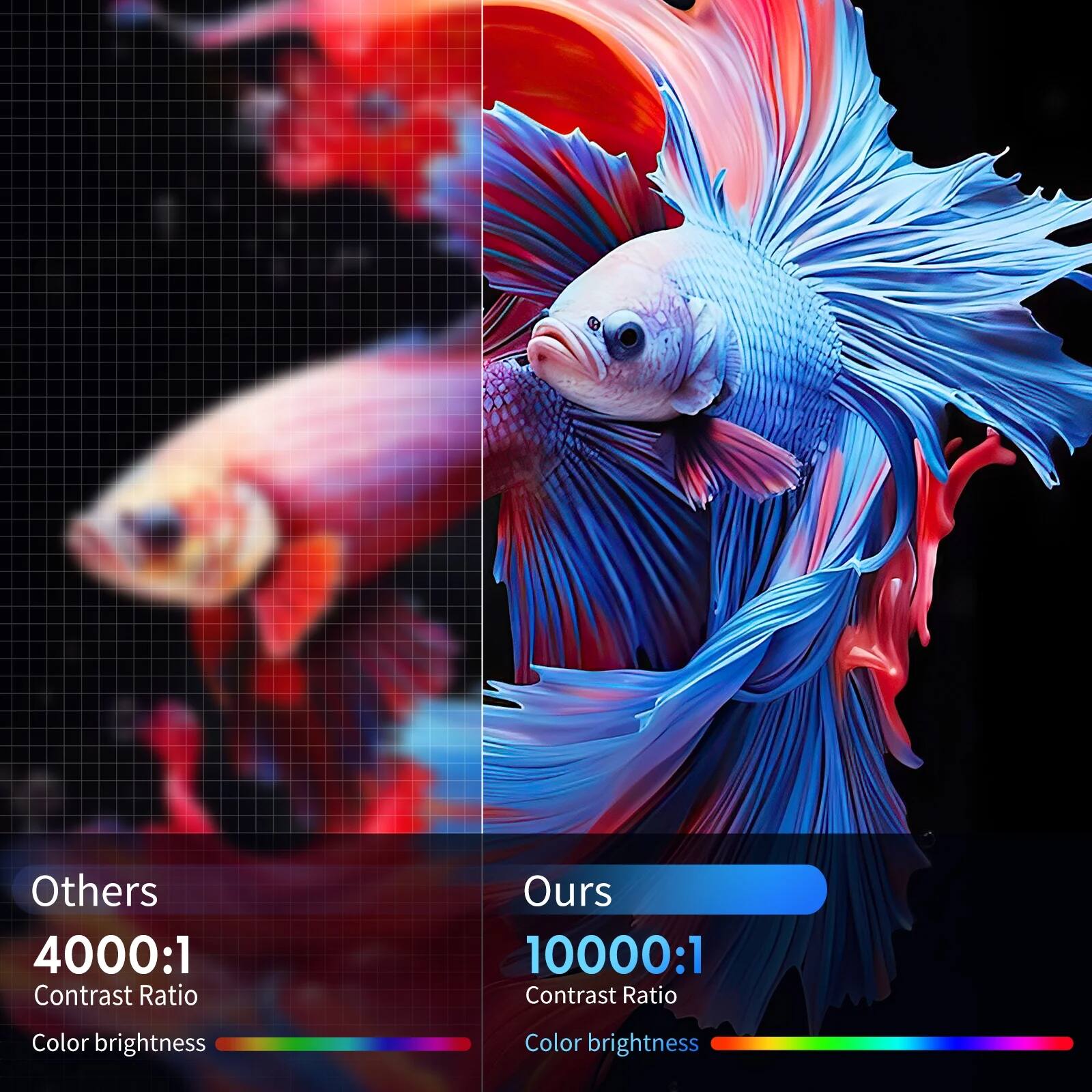 Others  
4000:1 Contrast Ratio  
Color brightness  

Ours  
10000:1 Contrast Ratio  
Color brightness