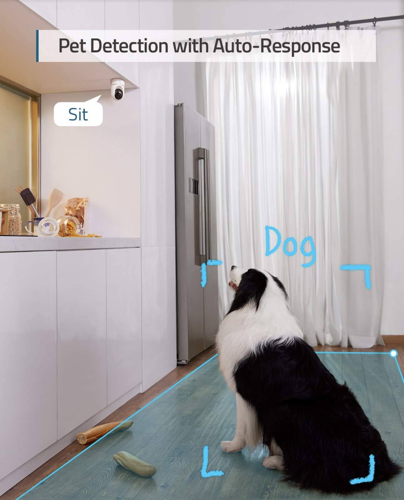 Pet Detection with Auto-Response, Sit, Dog, L