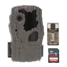 FiVeT CALCOCALLED focus - SanDisk Ultra 100 MB/s S2 1 d 0 32 GB SanDisk