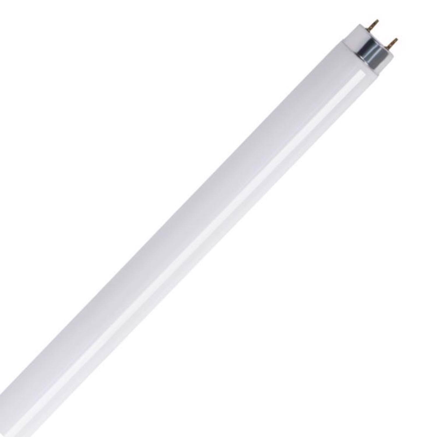 Left. FEIT ELECTRIC - Feit Legacy Bulbs 17 W T8 1 in. D X 23.8 in. L Fluorescent Bulb Cool White Linear 4100 K 2 pk.