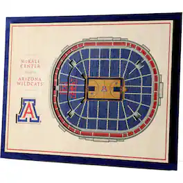 YouTheFan - Arizona Wildcats 17'' x 13'' 5-Layer StadiumViews 3D Wall Art - Brown