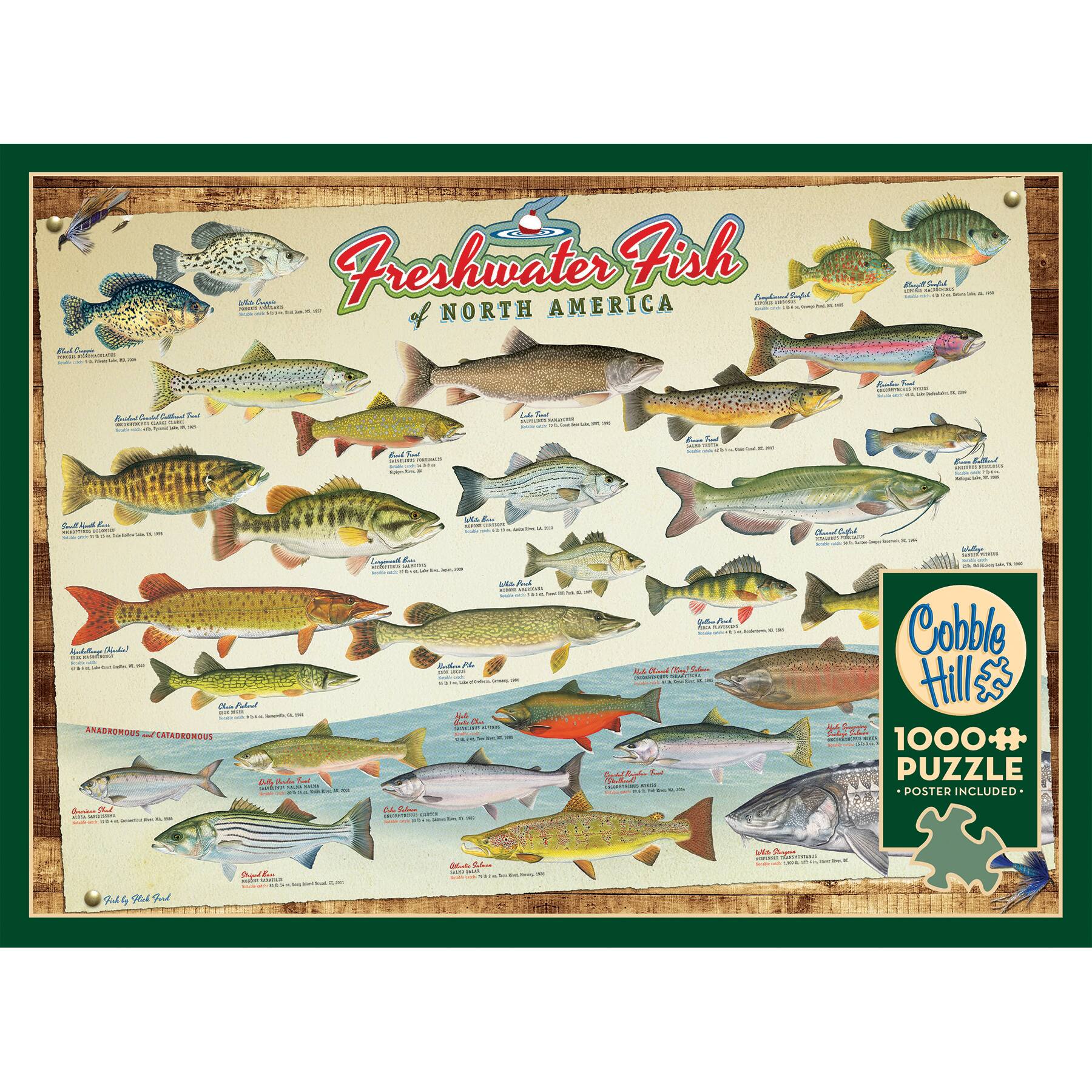 A - Freshwater Fish - North America
I - 1000+ Puzzle Poster Included
Cobble Hill NL