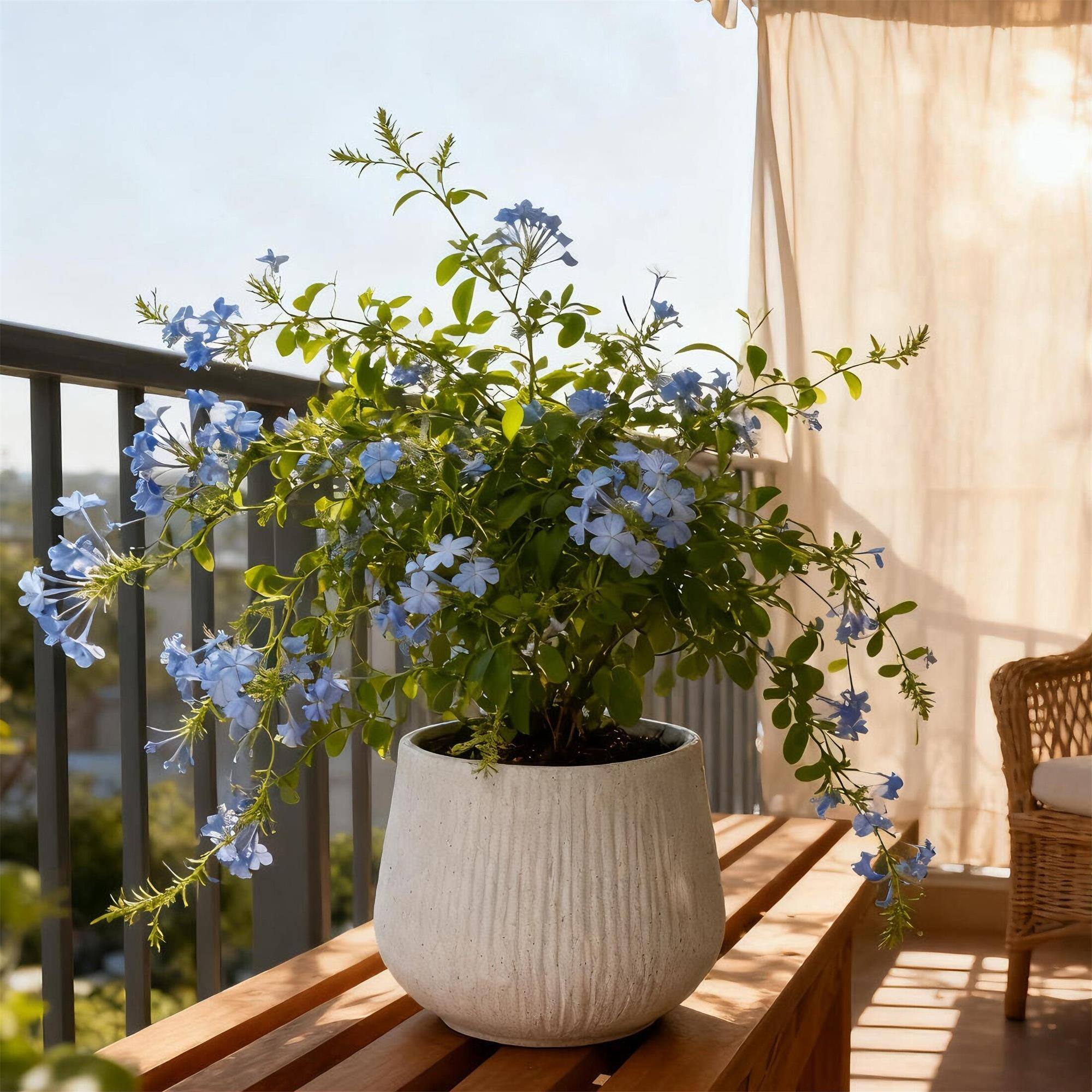 Boyel Living 11 Inch Round Magnesium Oxide Planter Cement Texture ...