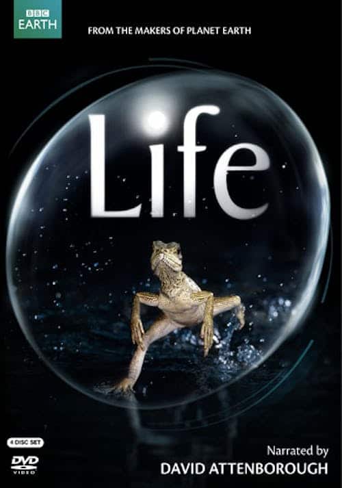 Life [DVD]