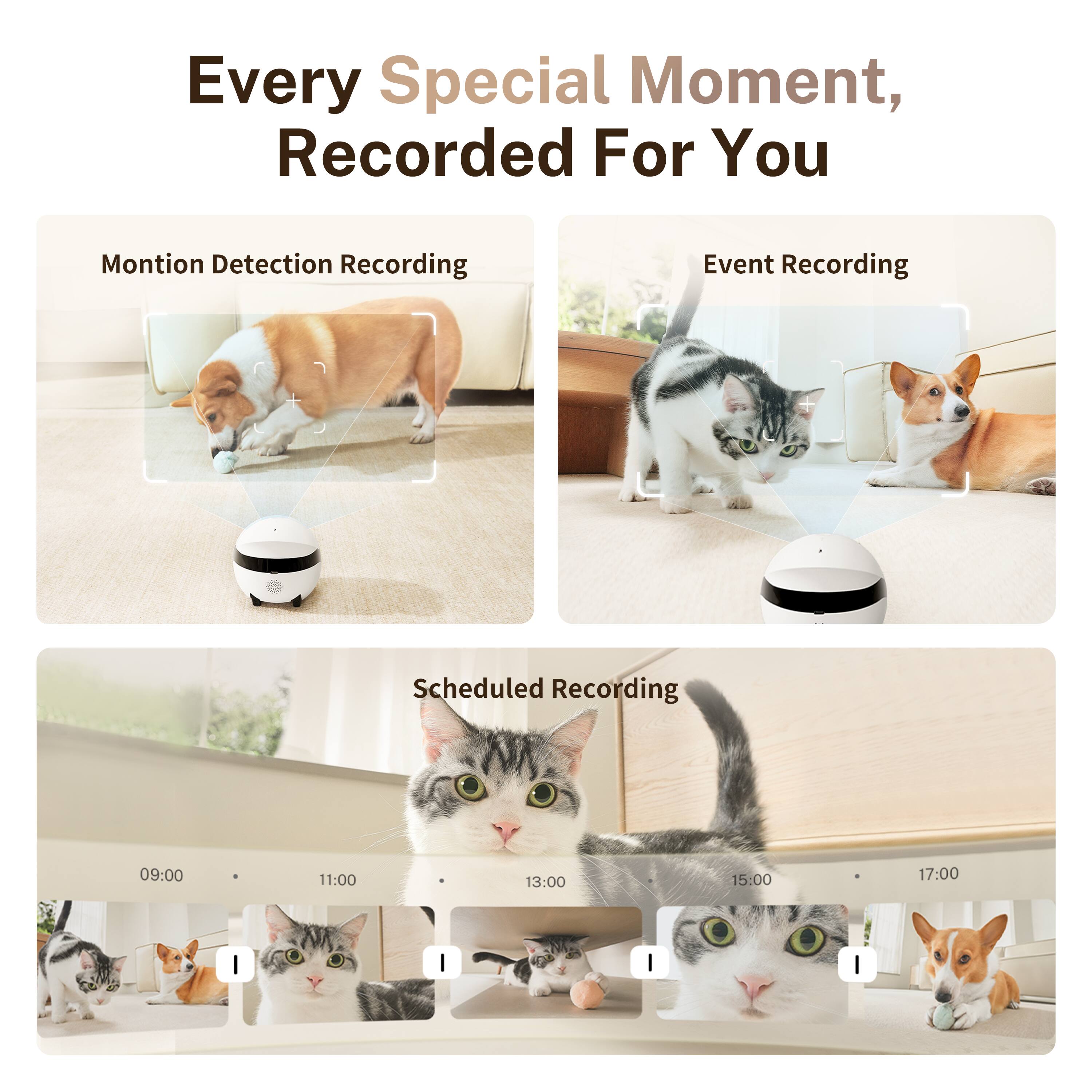 Every Special Moment, Recorded For You

Motion Detection Recording
Event Recording
Scheduled Recording

09:00
11:00
13:00
15:00
17:00