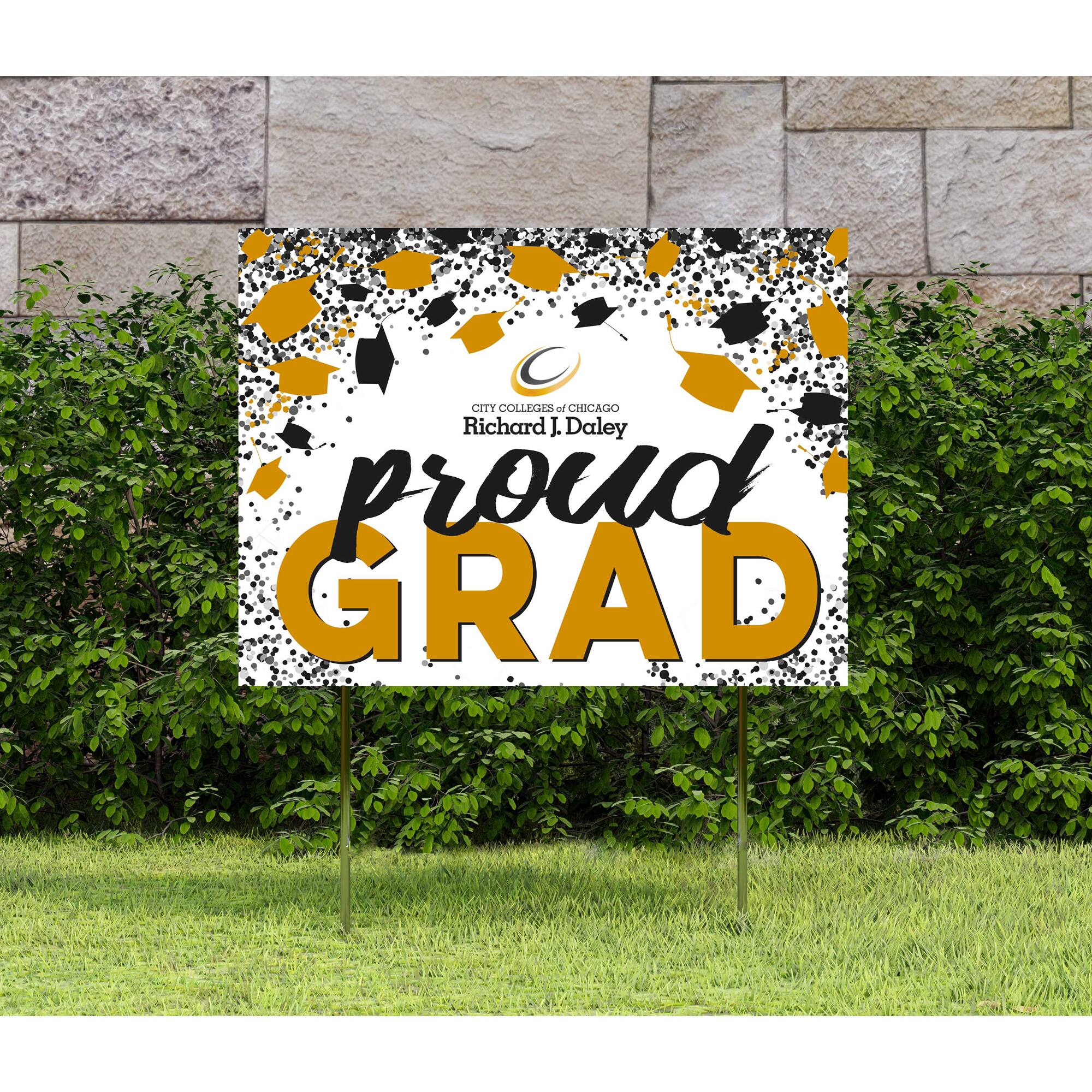 CITY COLLEGES OF CHICAGO  
Richard J. Daley  
proud GRAD