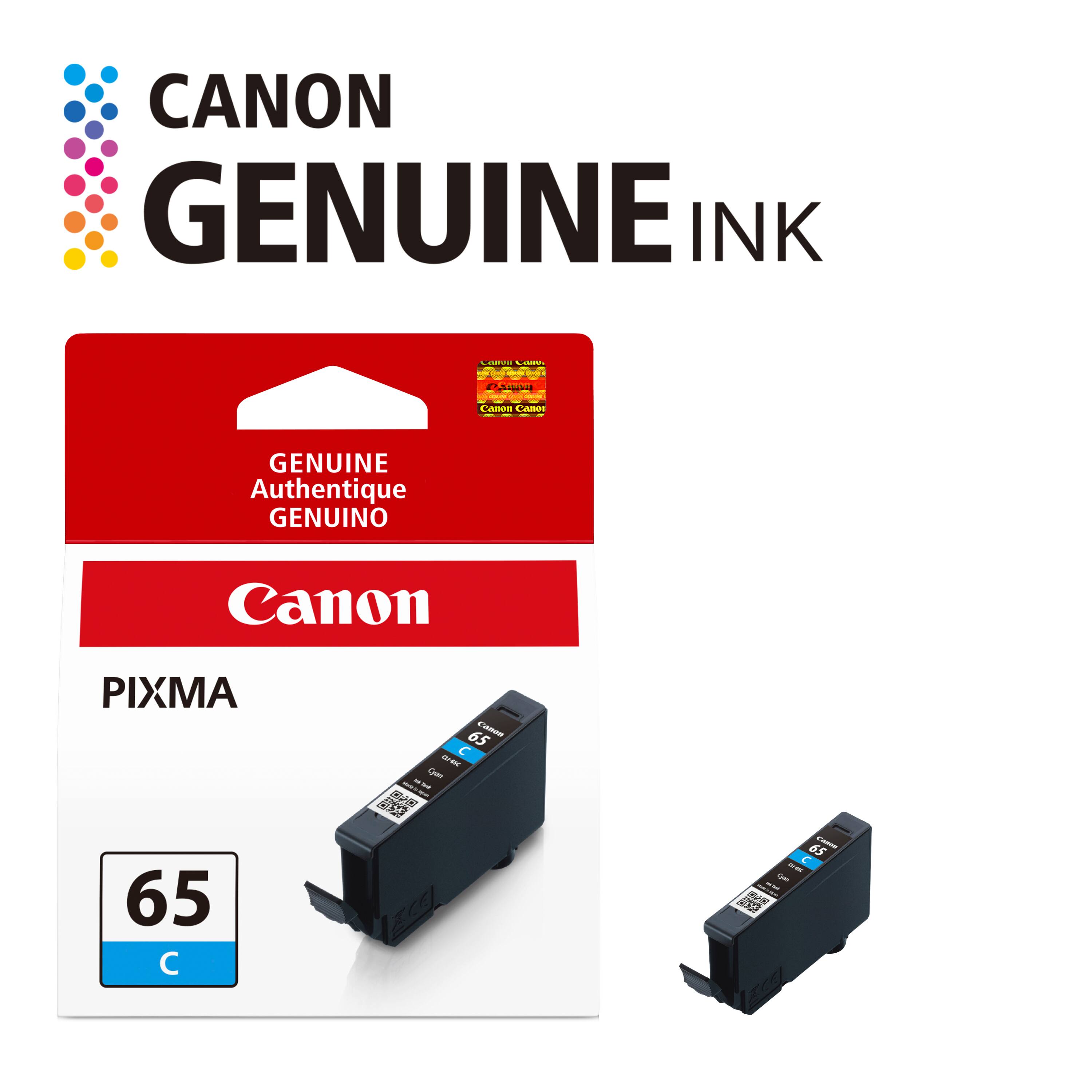 CANON GENUINE INK

Canva Come: www.derou's

COLORIES W2 GOURNET Canon Caneo

GENUINE Authentique GENUINO

Canon

PIXMA

65 Cana   IL Cyun "AISE - -

65 Names  - 1  B&B