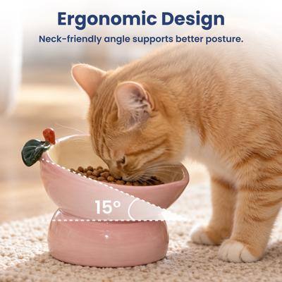 Ergonomic Design  
Neck-friendly angle supports better posture.  
15°