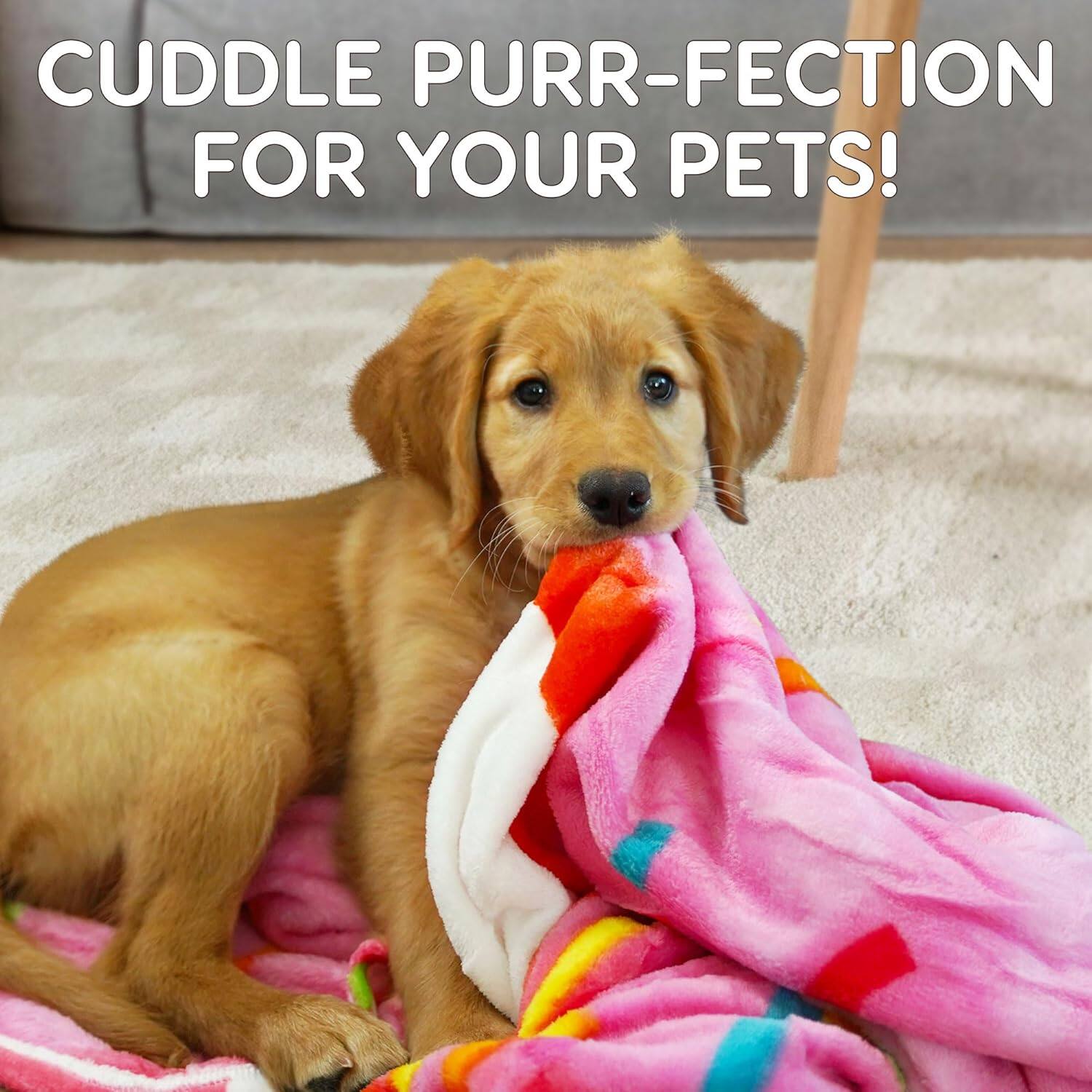 CUDDLE PURR-FECTION FOR YOUR PETS!