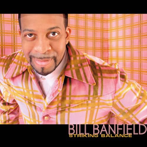 Bill Banfield - Striking Balance  - COMPACT DISCS