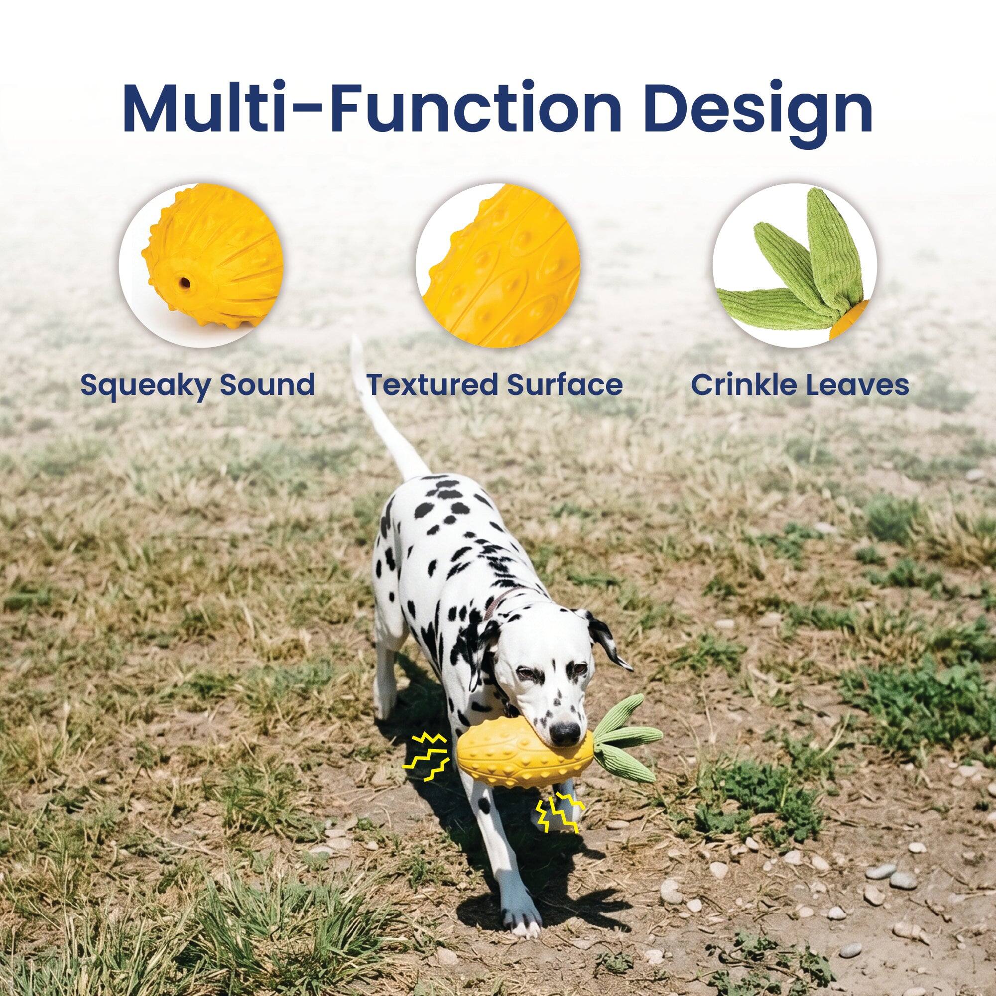 Multi-Function Design  
Squeaky Sound  
Textured Surface  
Crinkle Leaves
