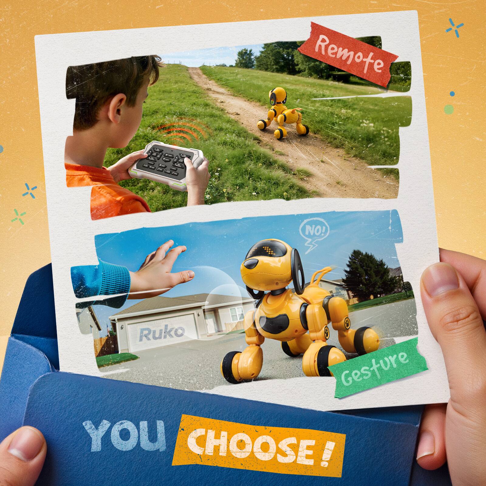 Remote NO! Ruko Gesture YOU CHOOSE!