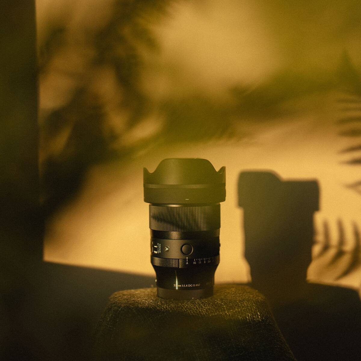 A 16 11 56 | Mahdululul A  
55mm f/1.4 DG
