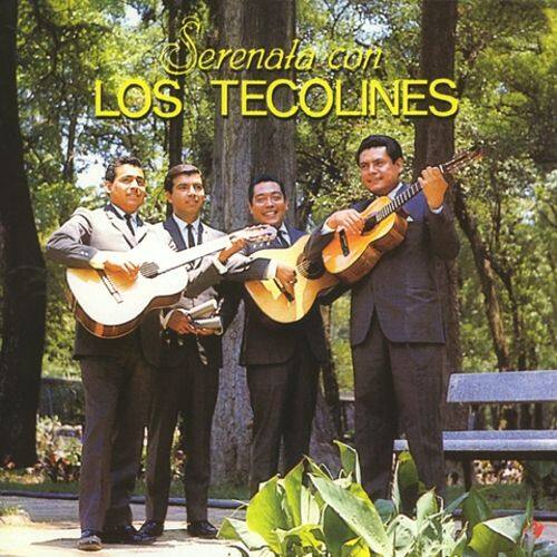 Best Buy Serenata Con... [CD]