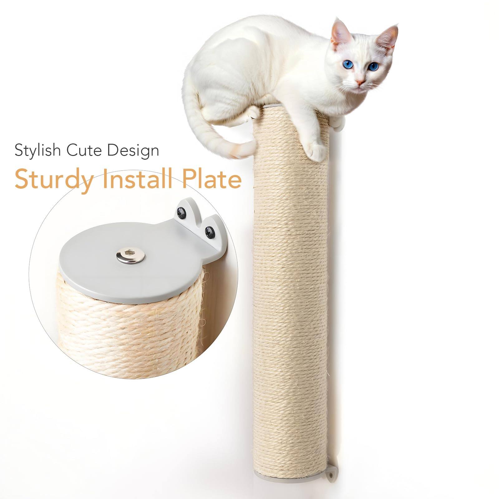 Stylish Cute Design  
Sturdy Install Plate