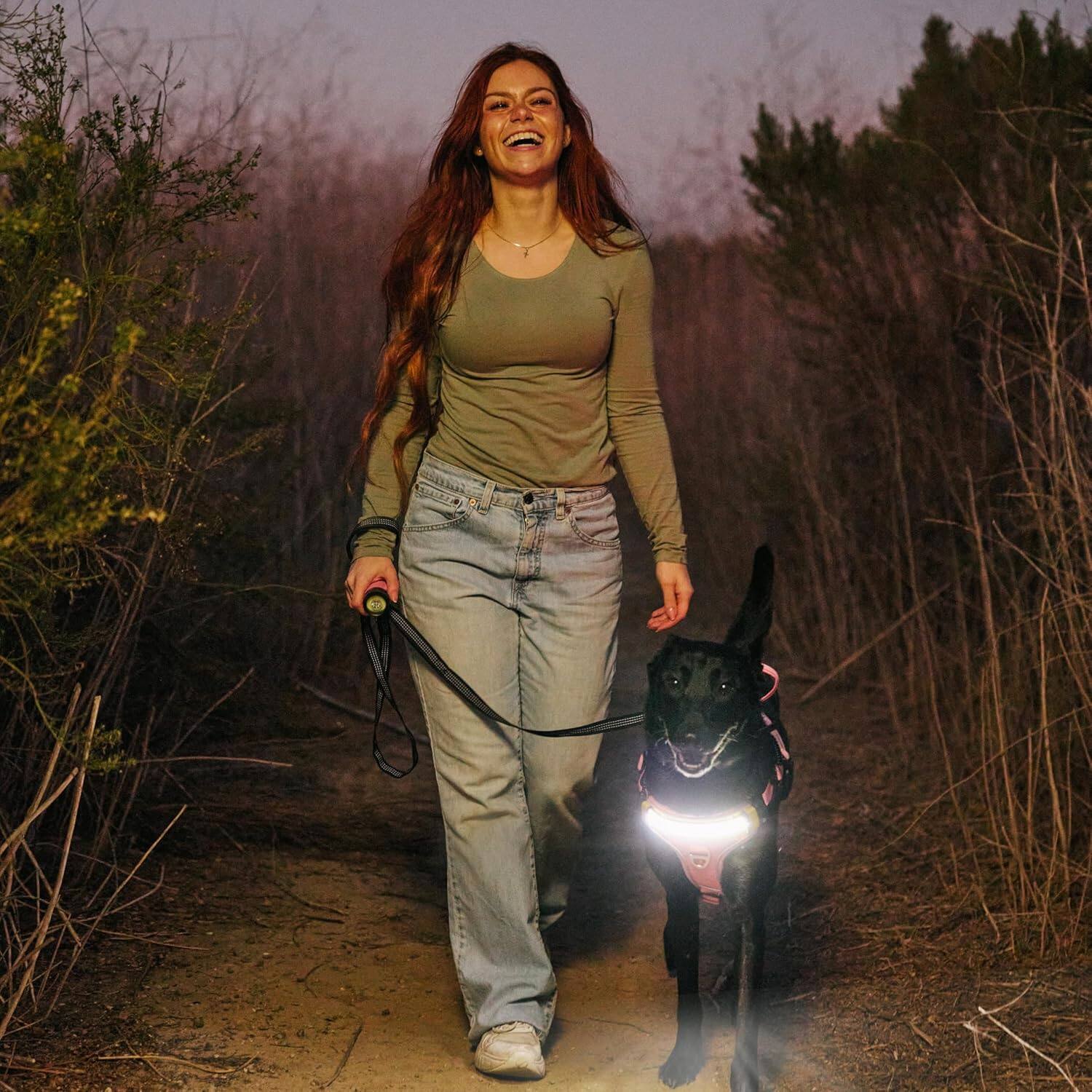 Alt View 6. Lumi Pawtners - Lumi One LED Dog Harness Pink - Pink.