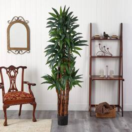BreeBe - 6.5' Dracaena Tree x 8 w/214 Lvs - Green