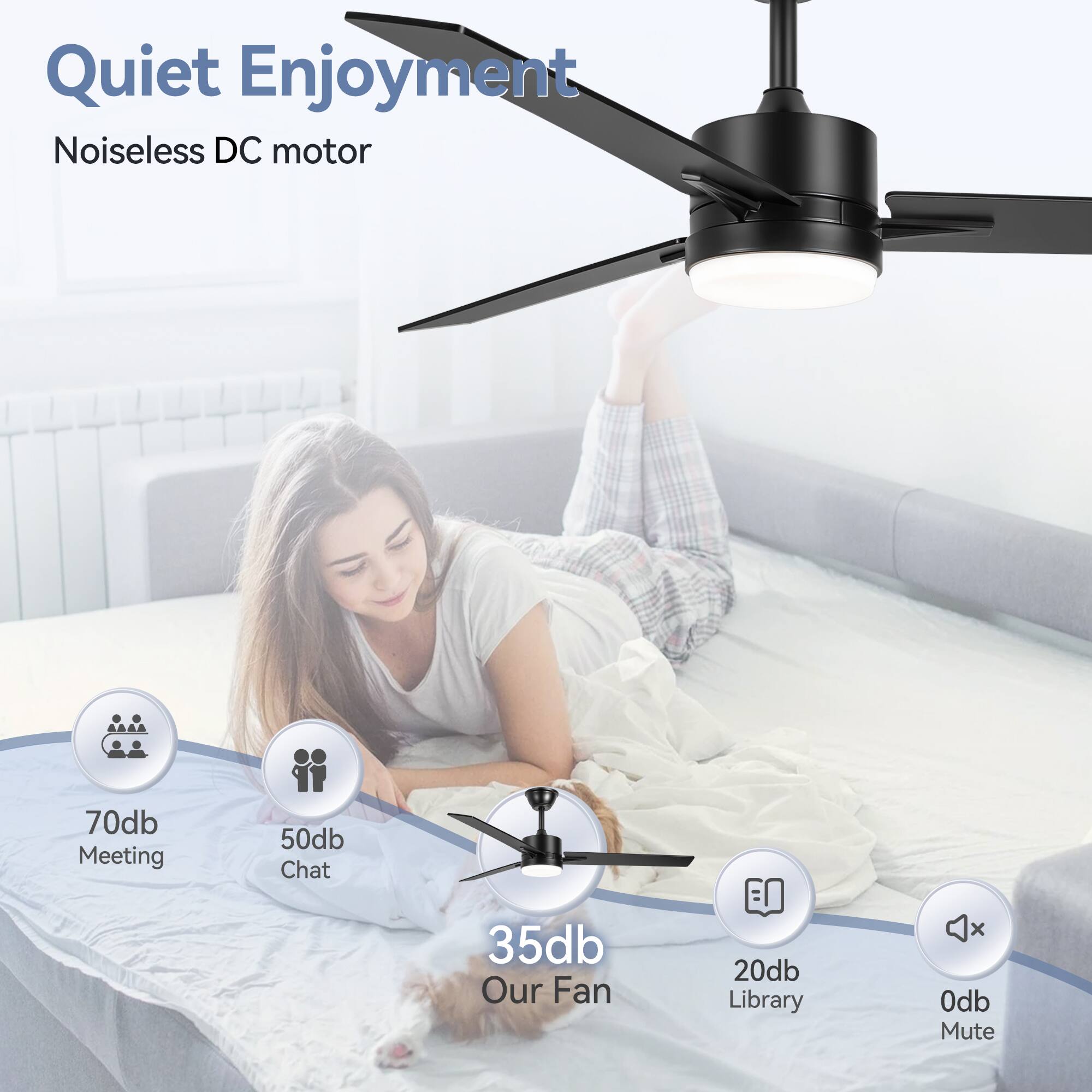 Quiet Enjoyment, Noiseless DC motor, 70db Meeting, 50db Chat, 35db Our Fan, 20db Library, 0db Mute